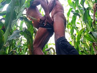 Indian Gay Boy Fucked By Strong Desi Men on Corn Field